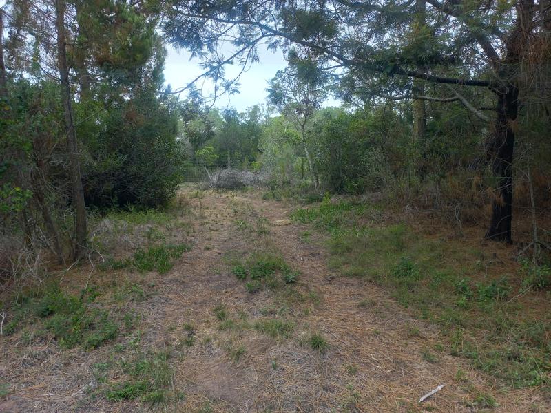 2 Bedroom Property for Sale in Wilderness Western Cape